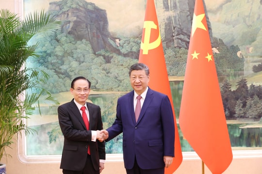 Đặc phái viên của Tổng Bí thư Tô Lâm hội kiến Tổng Bí thư, Chủ tịch nước Trung Quốc Tập Cận Bình
