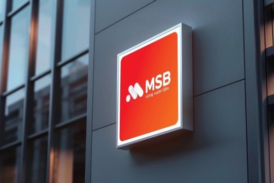 MSB chuyển địa điểm hoạt động Chi nhánh Cà Mau, chuyển địa điểm hoạt động và đổi tên Phòng Giao dịch Chợ Thái