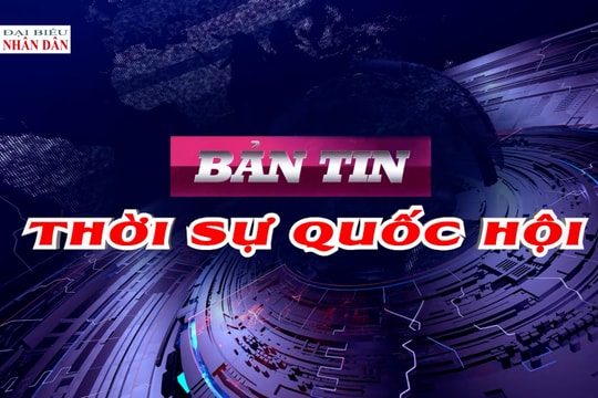 Bản tin Thời sự Quốc hội ngày 11/2/2026