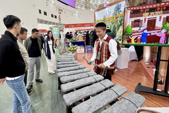 Spring Fair 2026: Northwest blossoms bring mountain spring to Hanoi