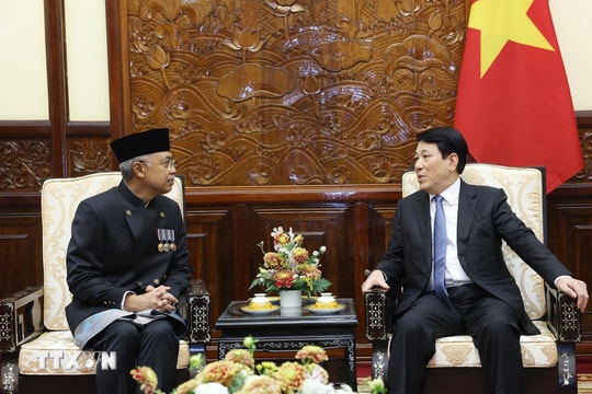 Chủ tịch nước Lương Cường tiếp Đại sứ Indonesia, Philippines trình thư ủy nhiệm