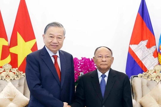 Vietnamese Party leader meets with CPP Honorary President in Phnom Penh