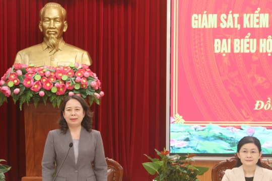 Vice State President inspects election preparations in Dong Nai