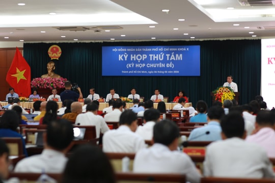 Quyết định một số nội dung quan trọng, cấp thiết