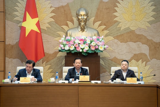 Chính sách phải “đúng, đủ và phù hợp” với quản lý thương mại và cạnh tranh