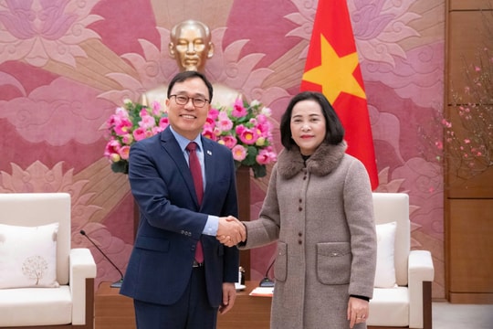 Phó Chủ tịch Quốc hội Nguyễn Thị Thanh tiếp Đại sứ Hàn Quốc tại Việt Nam Choi Young Sam