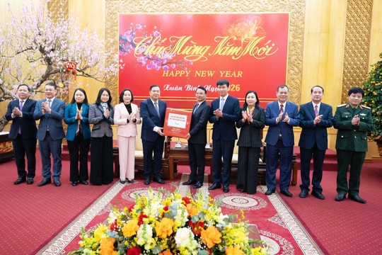 Lãnh đạo Đảng, Nhà nước thăm, chúc Tết Đảng bộ, chính quyền và Nhân dân tỉnh Ninh Bình