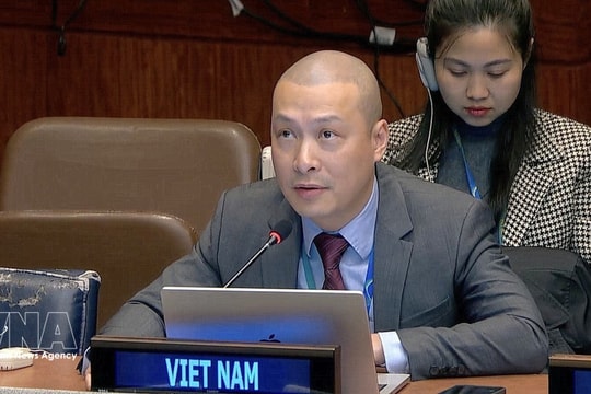 Vietnam shares experience in promoting inclusive, equitable social development at UN
