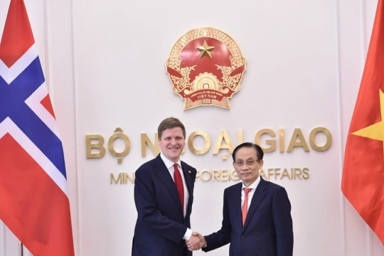 Vietnam values strengthening multifaceted cooperation with Norway: FM