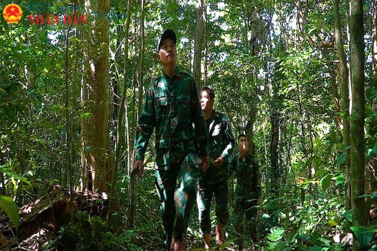 Những người giữ rừng ngày Tết
