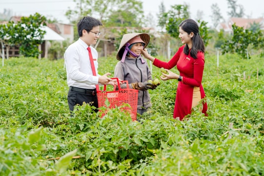 Nhiều dấu ấn quan trọng giúp thúc đẩy kinh doanh và tăng trưởng kinh tế