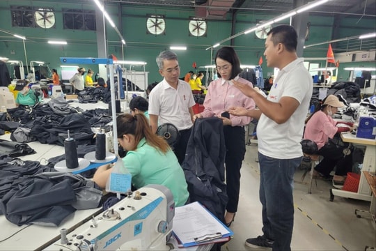 Quảng Trị: Tăng cường kết nối cung - cầu lao động
