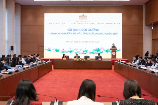 Bồi dưỡng dành cho người lần đầu ứng cử đại biểu Quốc hội