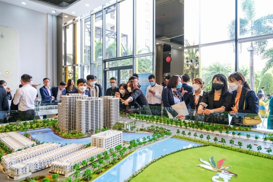 Bước ngoặt minh bạch hóa thị trường
