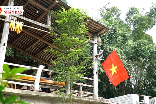 Bản đá vào xuân