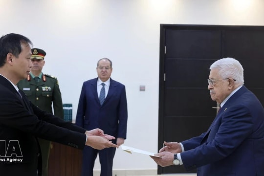 Vietnam stands ready to participate in Gaza reconstruction: Ambassador