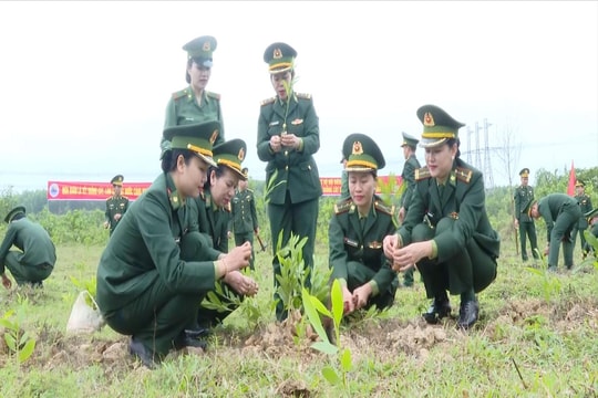 Bộ đội Biên phòng Quảng Trị trồng hơn 25.000 cây xanh trên hai tuyến biên giới