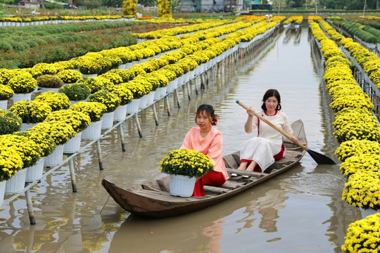 Hàng triệu du khách đến miền Tây du xuân dịp Tết Bính Ngọ
