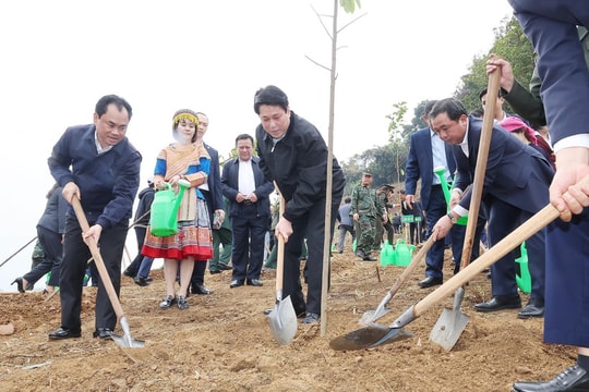 President urges more impactful, sustainable tree-planting movement