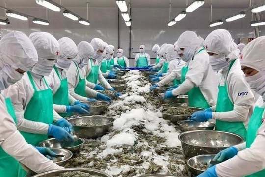 Lợi thế và thách thức mới