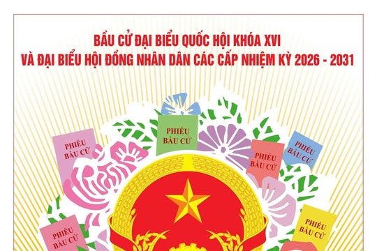 Trách nhiệm của Chính phủ đối với cuộc bầu cử đại biểu Quốc hội và bầu cử đại biểu Hội đồng nhân dân các cấp được quy định như thế nào?