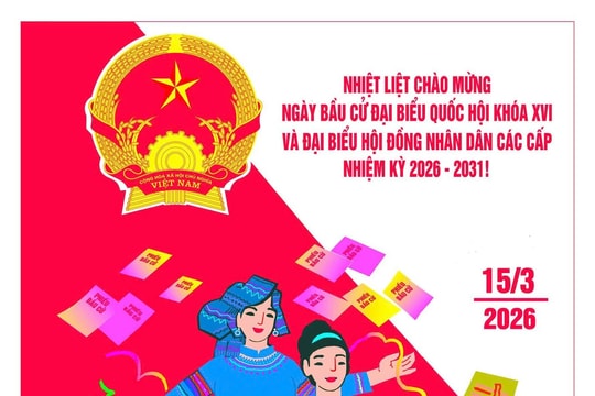 Nguyên tắc xác định tổng số đại biểu Hội đồng nhân dân cấp tỉnh được quy định như thế nào?