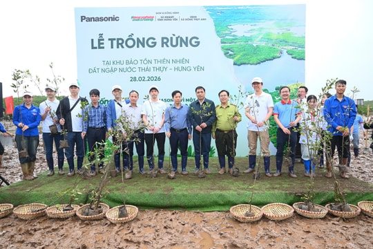 Trồng 9.000 cây bần chua phục hồi hệ sinh thái ngập mặn tại Hưng Yên