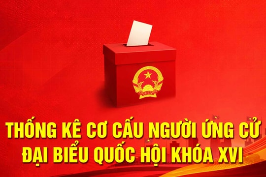 [Infographic] Thống kê cơ cấu 864 người ứng cử đại biểu Quốc hội