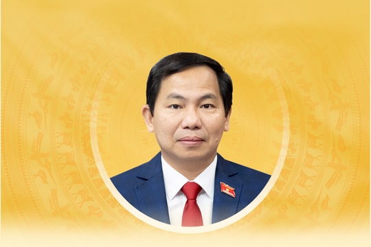 Tiểu sử tóm tắt và chương trình hành động của người ứng cử đại biểu Quốc hội khóa XVI TP. Hồ Chí Minh Lê Quang Mạnh