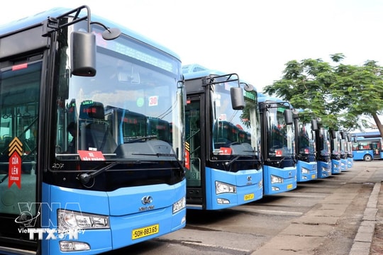 Ho Chi Minh City: Free metro, bus on election day