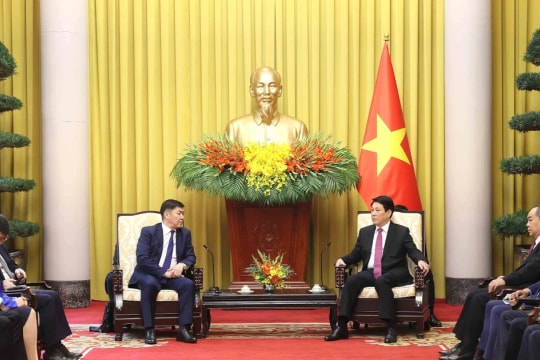 State President receives Chief Justice of Mongolia