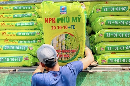 NPK Phú Mỹ đồng hành cùng vùng nguyên liệu mía tỉnh Đắk Lắk