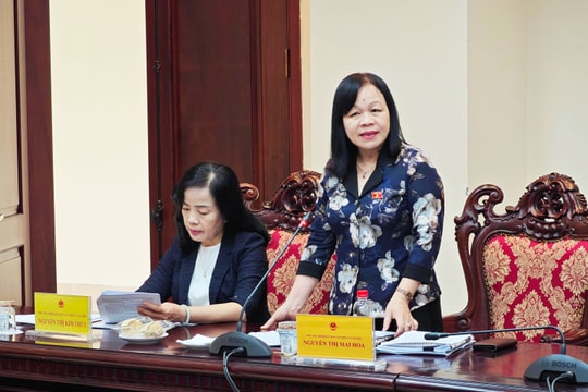 Tham vấn chuyên gia về dự án Luật Tín ngưỡng, tôn giáo (sửa đổi)
