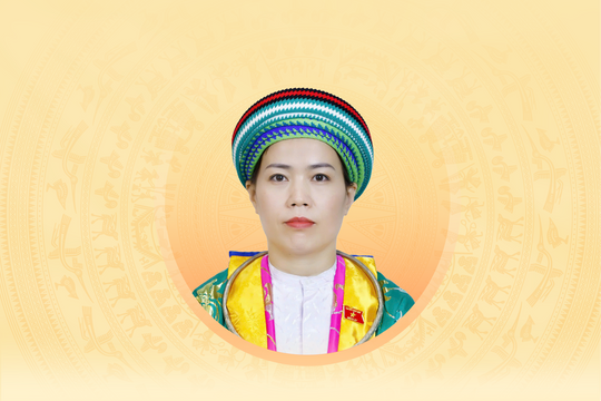 Tiểu sử tóm tắt và chương trình hành động của người ứng cử đại biểu Quốc hội khóa XVI tỉnh Tuyên Quang Lý Thị Lan