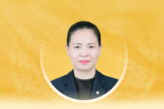 Tiểu sử tóm tắt và chương trình hành động của người ứng cử đại biểu Quốc hội khóa XVI thành phố Hà Nội Nguyễn Thị Thu Dung