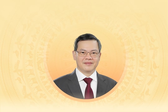 Tiểu sử tóm tắt và chương trình hành động của người ứng cử đại biểu Hội đồng nhân dân tỉnh Tuyên Quang khóa XX Nguyễn Văn Sơn