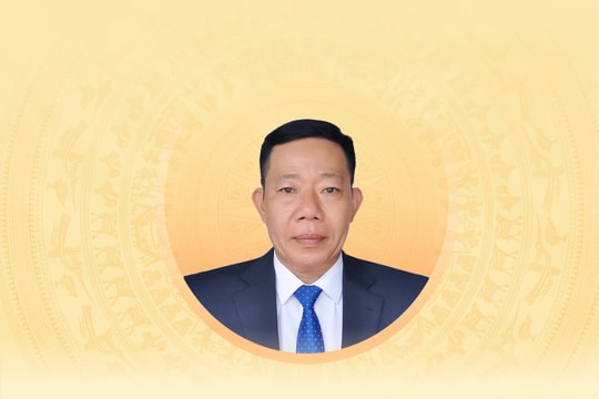 Tiểu sử tóm tắt và chương trình hành động của người ứng cử đại biểu Hội đồng nhân dân Thành phố Huế Khóa IX Hà Văn Tuấn