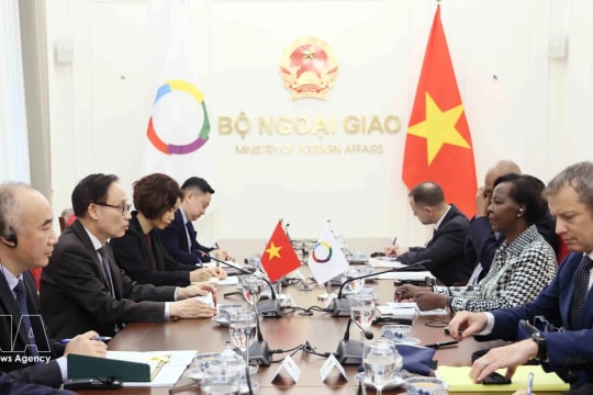 Vietnam always treasures cooperation with Francophone community: FM