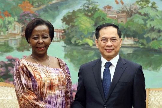 Vietnam values cooperation with OIF: Deputy PM