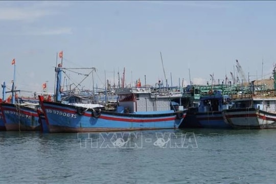 Gia Lai becomes Vietnam's first locality to install VMS on 12–15m fishing vessels