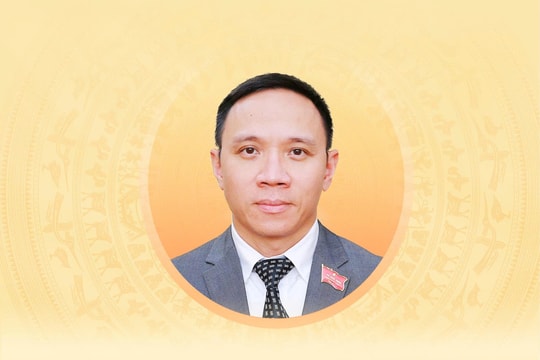 Tiểu sử tóm tắt và chương trình hành động của người ứng cử đại biểu Hội đồng nhân dân Thành phố Hải Phòng Khoá XVII Đào Trọng Đức