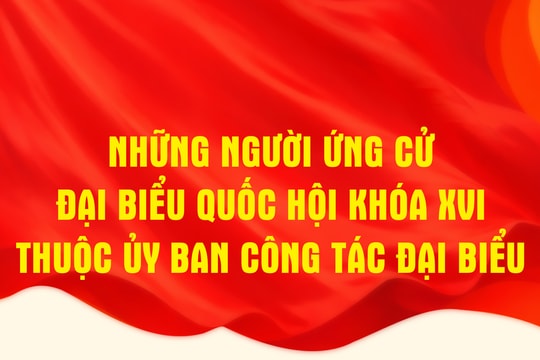 Những người ứng cử đại biểu Quốc hội khóa XVI thuộc Ủy ban Công tác đại biểu