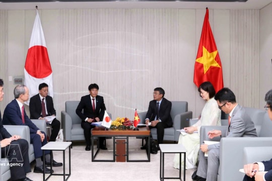 Vietnam, Japan expand cooperation in various fields