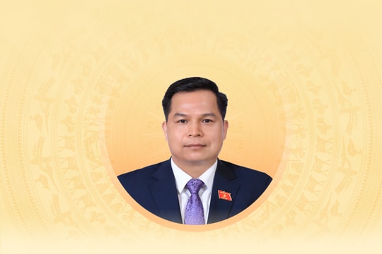 Tiểu sử tóm tắt và chương trình hành động của người ứng cử đại biểu Hội đồng nhân dân tỉnh Cao Bằng khóa XVIII Bế Minh Đức