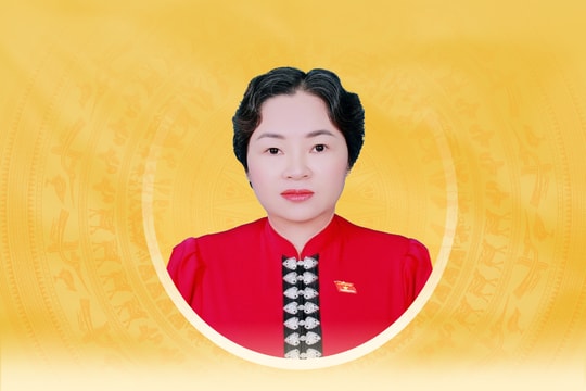 Tiểu sử tóm tắt và chương trình hành động của người ứng cử đại biểu Quốc hội khóa XVI tỉnh Điện Biên Lò Thị Luyến