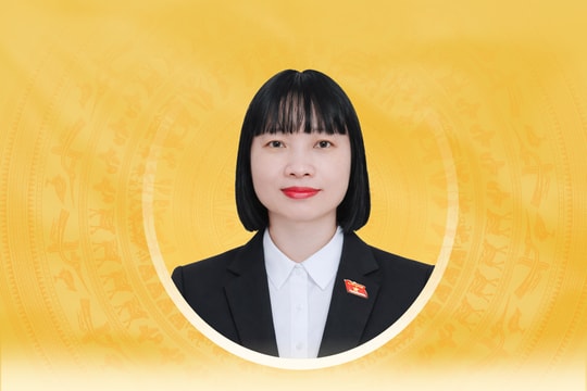 Tiểu sử tóm tắt và chương trình hành động của người ứng cử đại biểu Quốc hội khóa XVI Thành phố Hải Phòng Nguyễn Thị Việt Nga