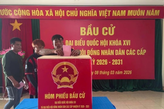 Vietnamese NA helps build institutional foundations for long-term development: Canadian researcher