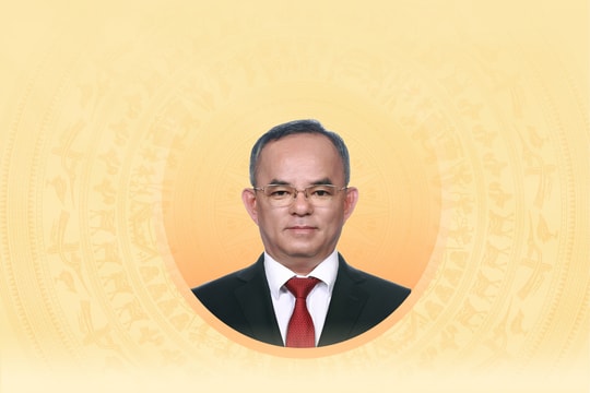 Tiểu sử tóm tắt và chương trình hành động của người ứng cử đại biểu Hội đồng nhân dân TP. Hồ Chí Minh khóa XI Võ Anh Tuấn
