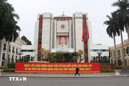 Overseas Vietnamese hope on fresh policies from legislative elections