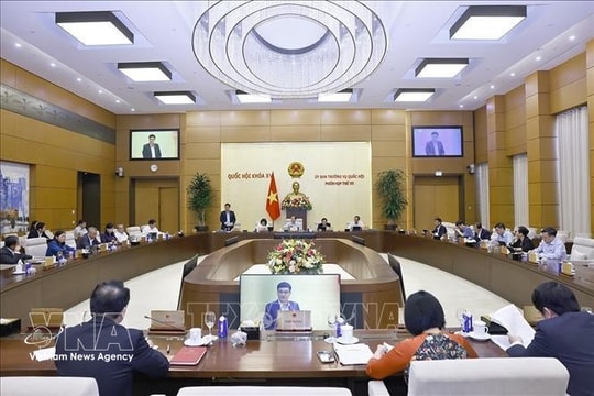 OP-ED: Streamlining state apparatus: A foundation for rapid, sustainable development